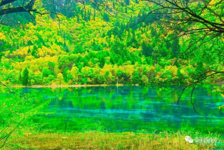 证监会:巩固深化常态化退市机制 对重大违法和没有投资价值公司“应退尽退”